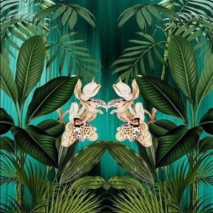 Meet your Posher, Desiree